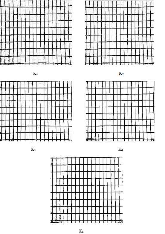 Figure 3.6: Estimating the distortion coefficients 