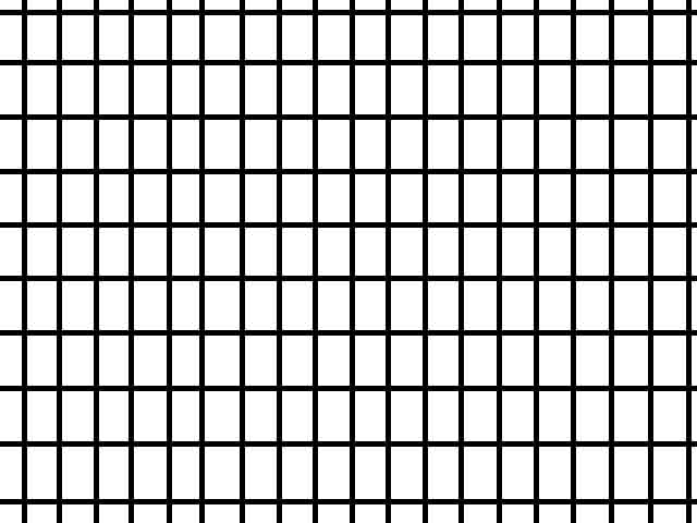 Figure 3.1: grid for the measurements of the distortion